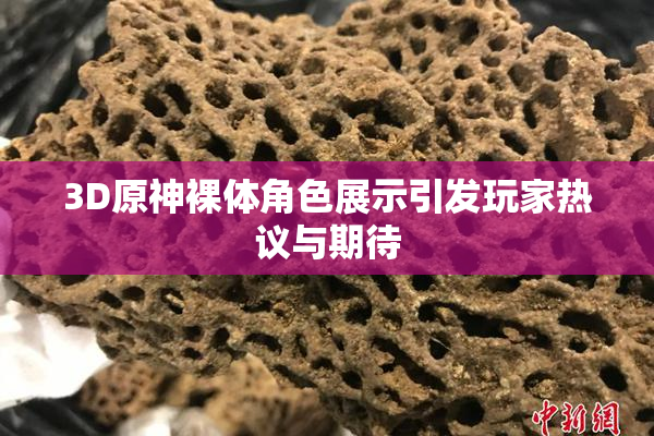 3D原神裸体角色展示引发玩家热议与期待