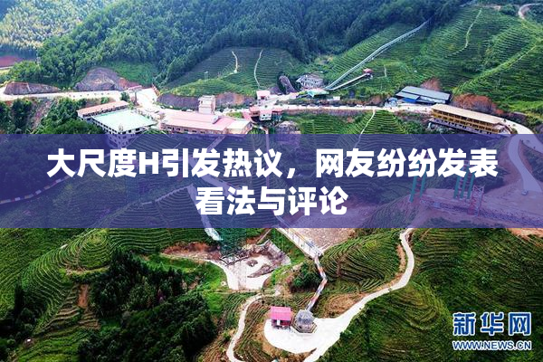 大尺度H引发热议，网友纷纷发表看法与评论