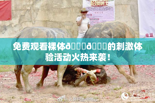 免费观看裸体🔞🔞的刺激体验活动火热来袭！