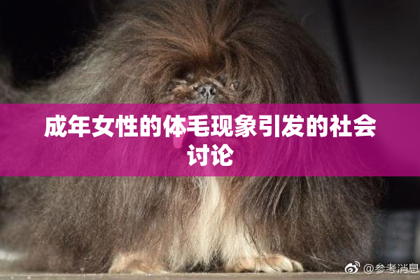 成年女性的体毛现象引发的社会讨论