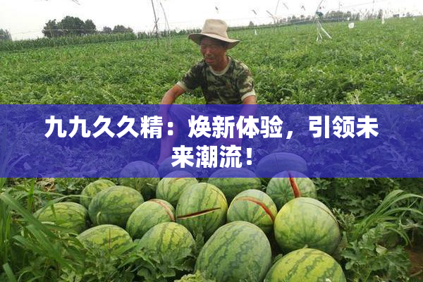 九九久久精：焕新体验，引领未来潮流！