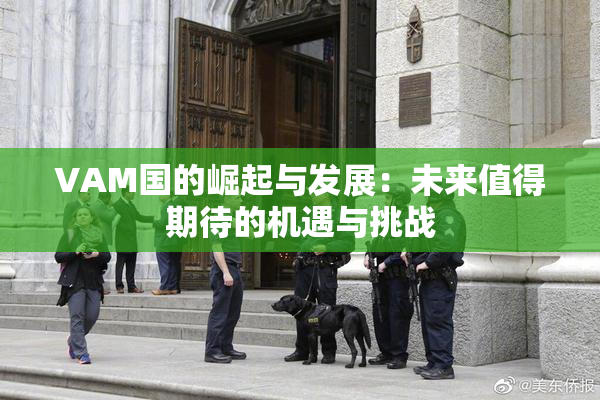 VAM国的崛起与发展：未来值得期待的机遇与挑战