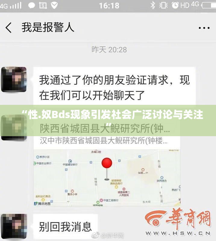 “性.奴Bds现象引发社会广泛讨论与关注”
