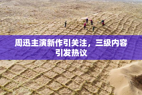 周迅主演新作引关注，三级内容引发热议