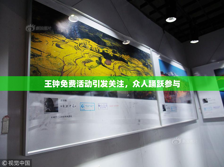 王钟免费活动引发关注，众人踊跃参与