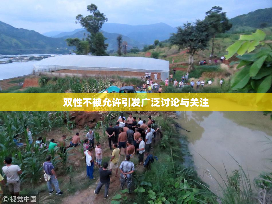 双性不被允许引发广泛讨论与关注