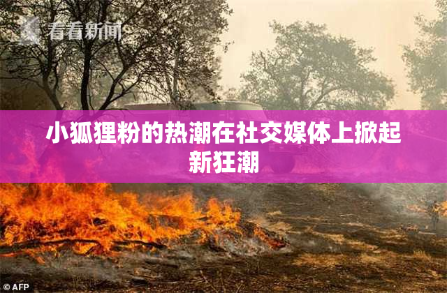 小狐狸粉的热潮在社交媒体上掀起新狂潮