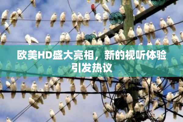 欧美HD盛大亮相，新的视听体验引发热议