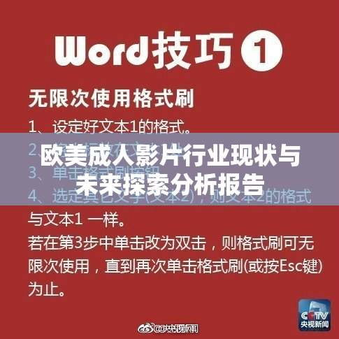 欧美成人影片行业现状与未来探索分析报告
