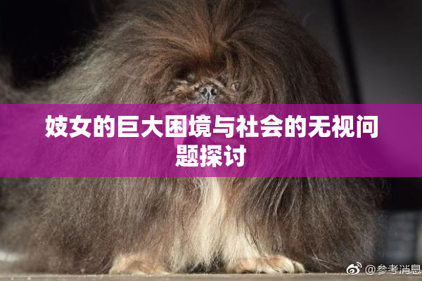 妓女的巨大困境与社会的无视问题探讨