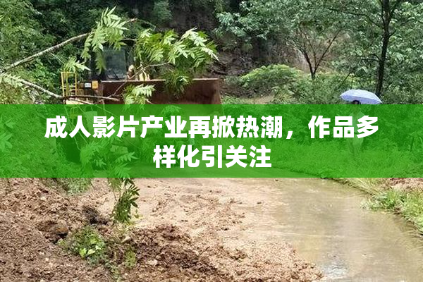 成人影片产业再掀热潮，作品多样化引关注