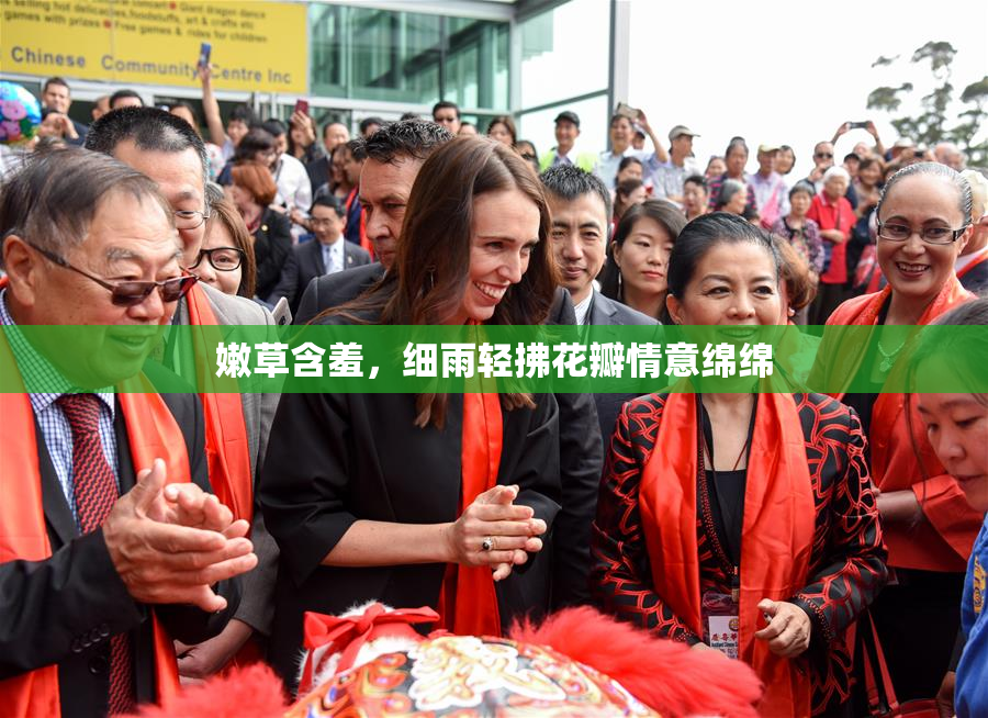 嫩草含羞，细雨轻拂花瓣情意绵绵