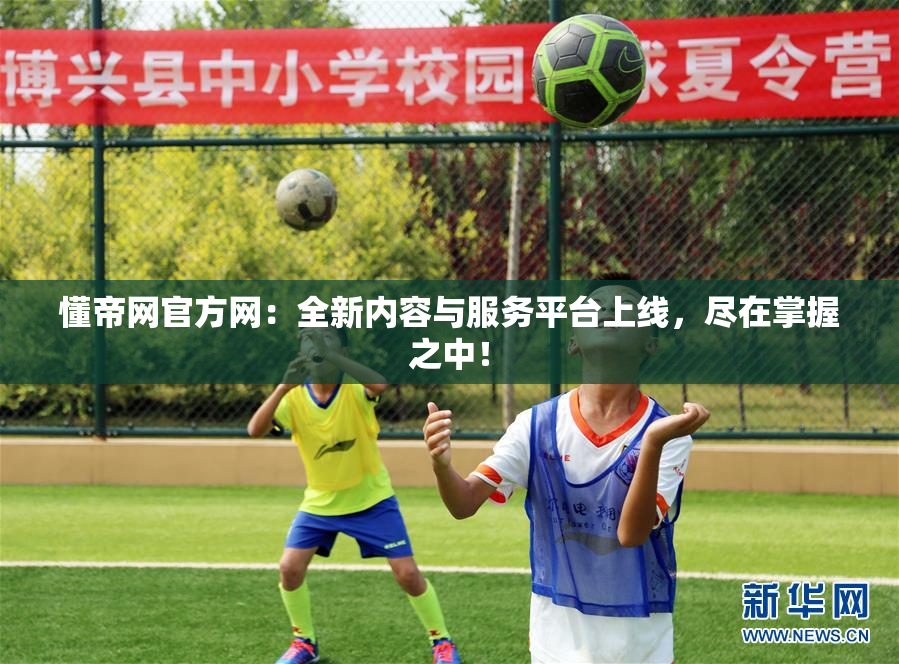 懂帝网官方网：全新内容与服务平台上线，尽在掌握之中！