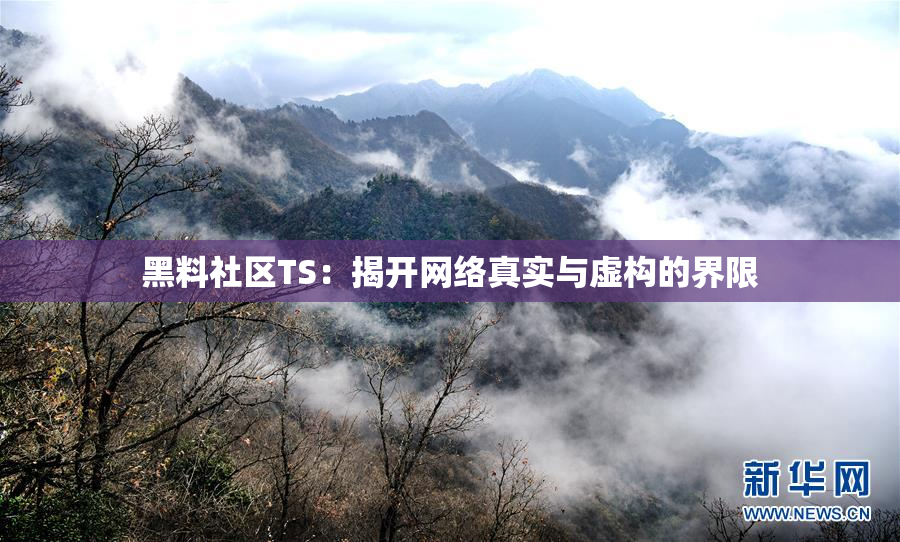黑料社区TS：揭开网络真实与虚构的界限