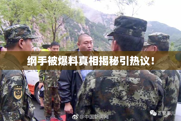 纲手被爆料真相揭秘引热议！