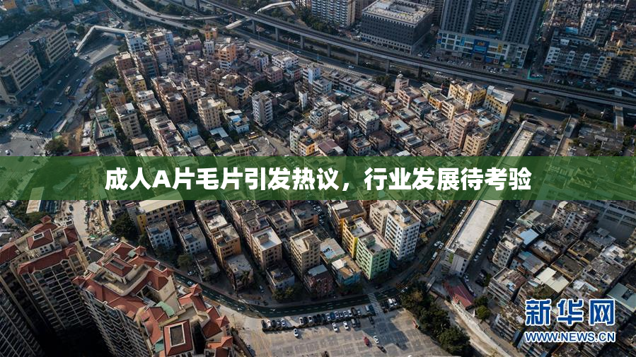 成人A片毛片引发热议，行业发展待考验