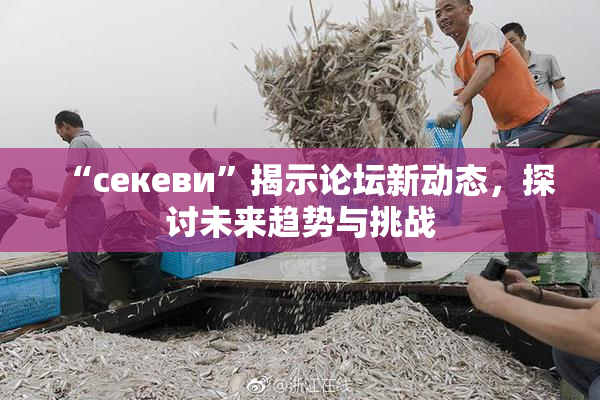 “ceкеви”揭示论坛新动态，探讨未来趋势与挑战