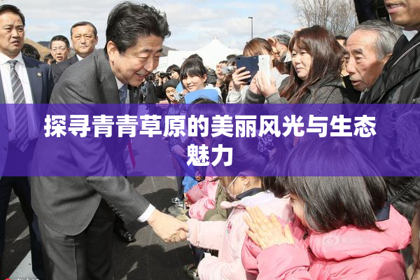 探寻青青草原的美丽风光与生态魅力