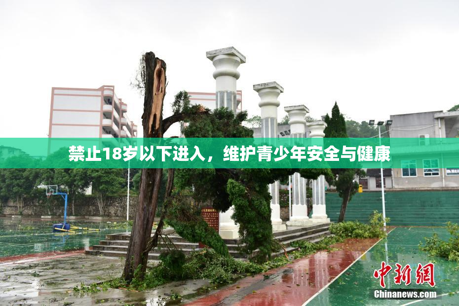 禁止18岁以下进入，维护青少年安全与健康