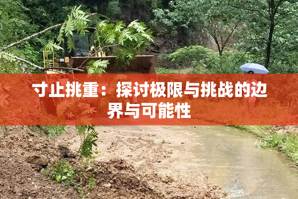 寸止挑重：探讨极限与挑战的边界与可能性