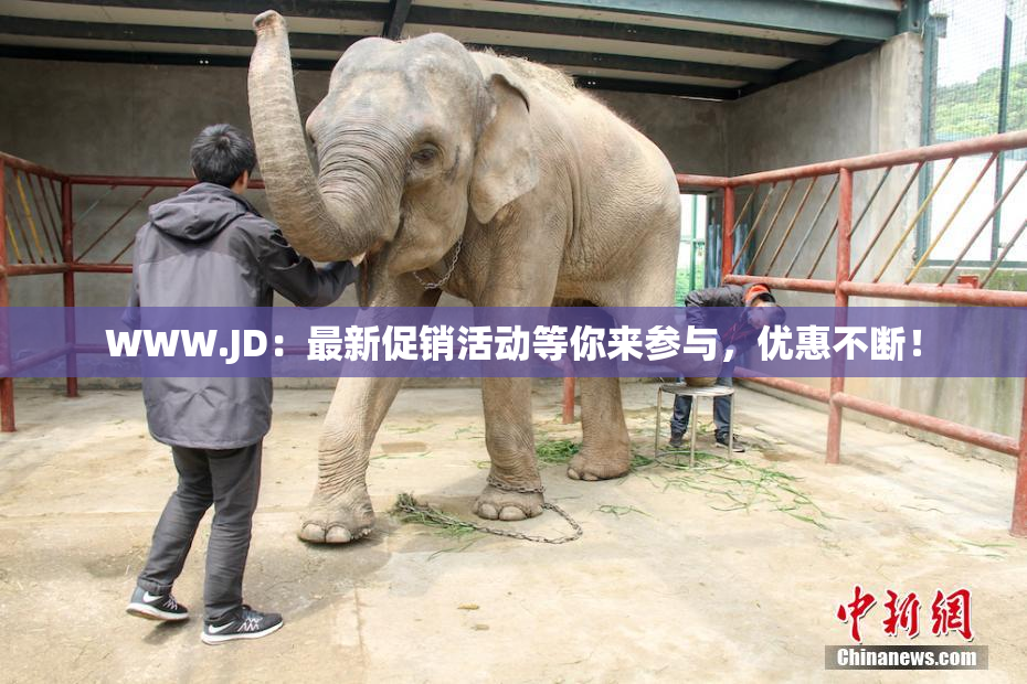 WWW.JD：最新促销活动等你来参与，优惠不断！