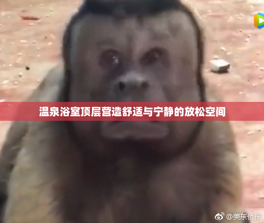 温泉浴室顶层营造舒适与宁静的放松空间