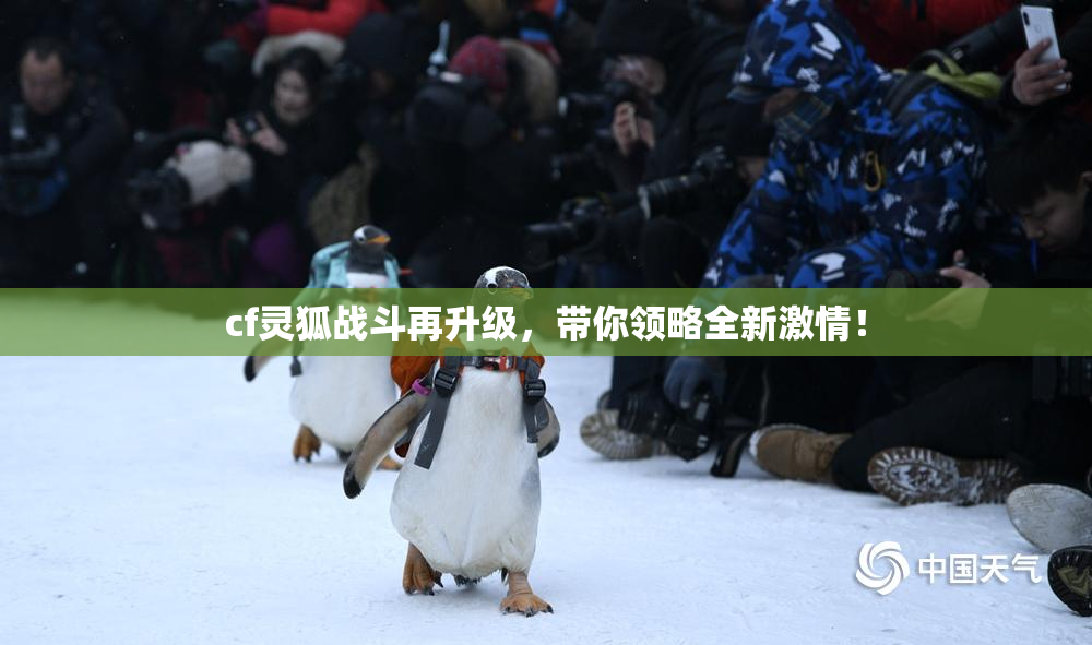 cf灵狐战斗再升级，带你领略全新激情！