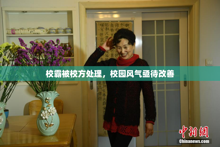 校霸被校方处理，校园风气亟待改善