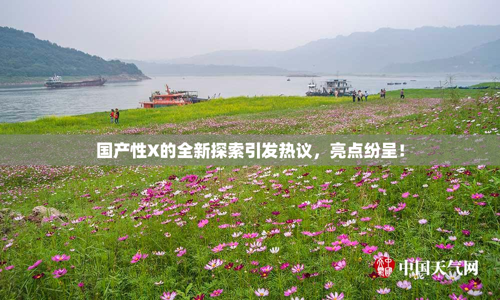 国产性X的全新探索引发热议，亮点纷呈！