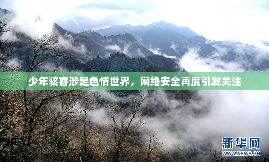 少年骇客涉足色情世界，网络安全再度引发关注