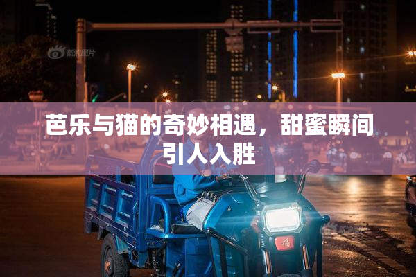 芭乐与猫的奇妙相遇，甜蜜瞬间引人入胜