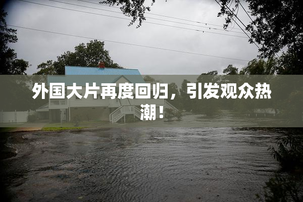 外国大片再度回归，引发观众热潮！