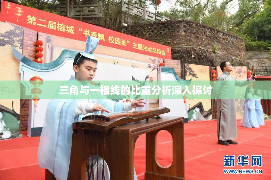 三角与一根线的比重分析深入探讨