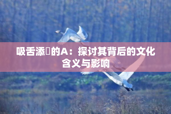 吸舌添泬的A：探讨其背后的文化含义与影响