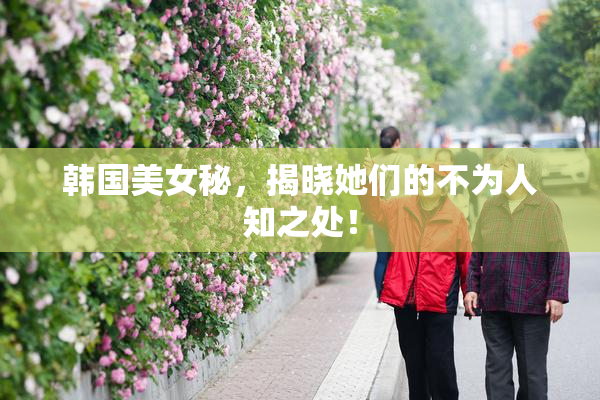 韩国美女秘，揭晓她们的不为人知之处！