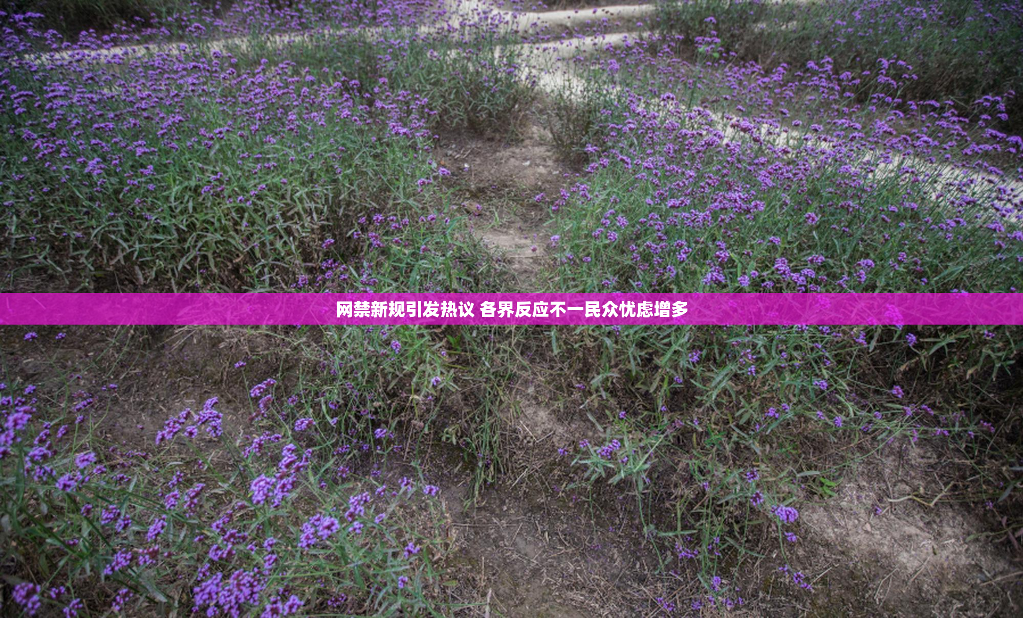 网禁新规引发热议 各界反应不一民众忧虑增多