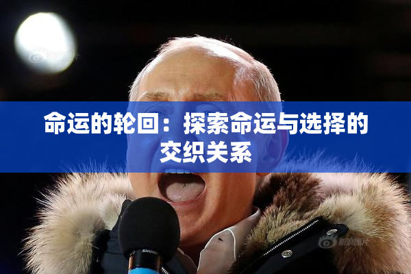 命运的轮回：探索命运与选择的交织关系