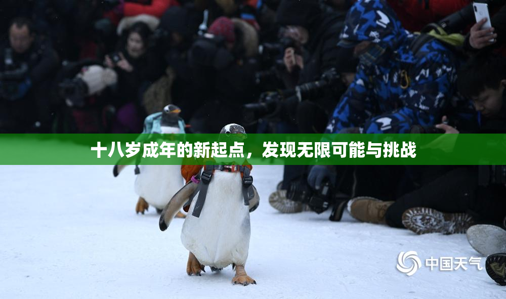 十八岁成年的新起点，发现无限可能与挑战