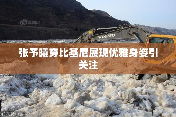 张予曦穿比基尼展现优雅身姿引关注