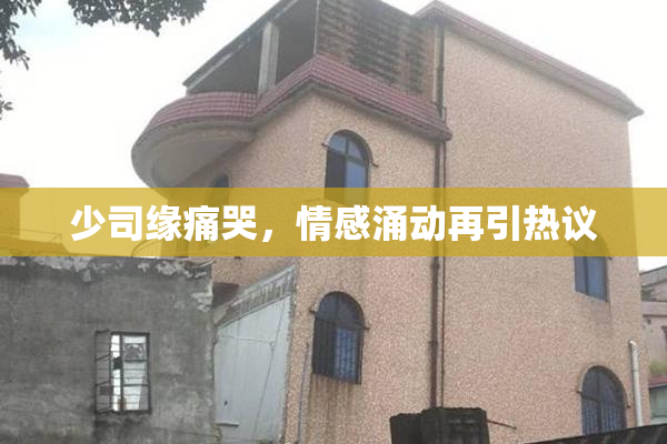 少司缘痛哭，情感涌动再引热议