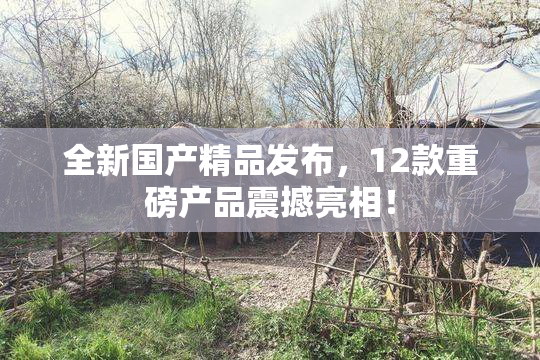 全新国产精品发布，12款重磅产品震撼亮相！