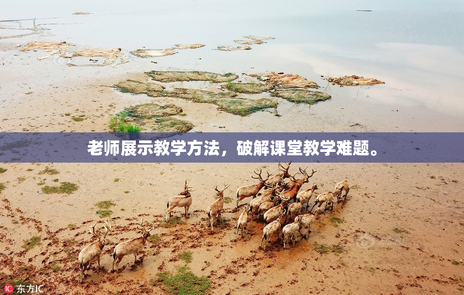 老师展示教学方法，破解课堂教学难题。