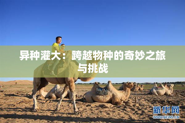异种灌大：跨越物种的奇妙之旅与挑战