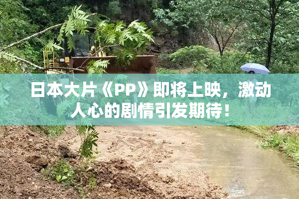 日本大片《PP》即将上映，激动人心的剧情引发期待！