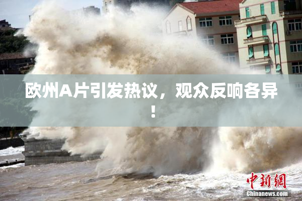 欧州A片引发热议，观众反响各异！