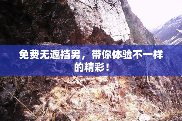 免费无遮挡男，带你体验不一样的精彩！