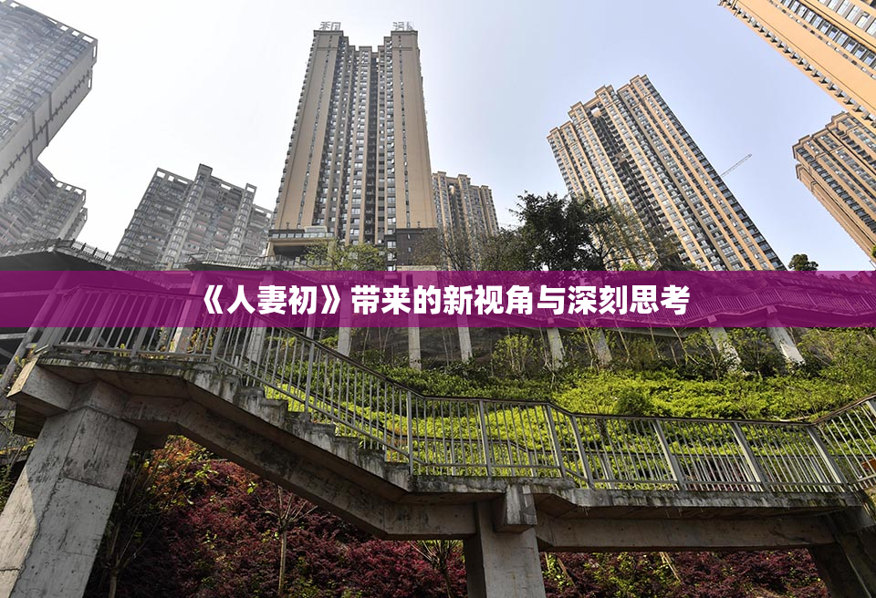 《人妻初》带来的新视角与深刻思考