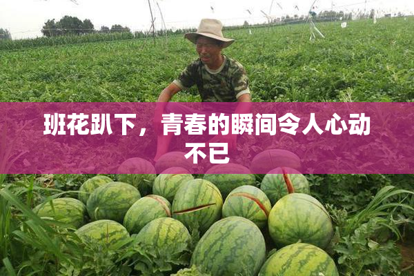 班花趴下，青春的瞬间令人心动不已
