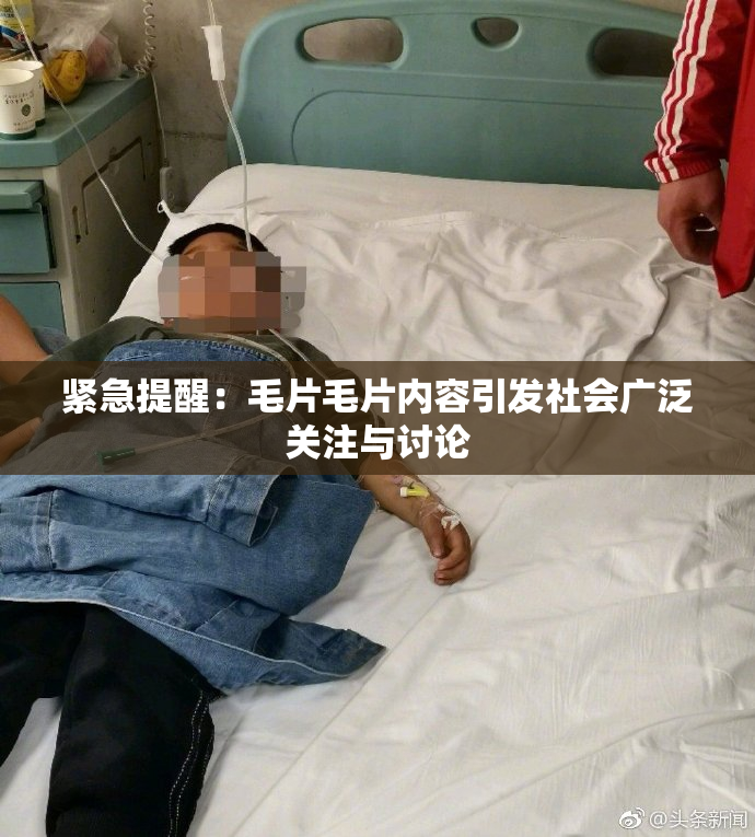 紧急提醒：毛片毛片内容引发社会广泛关注与讨论
