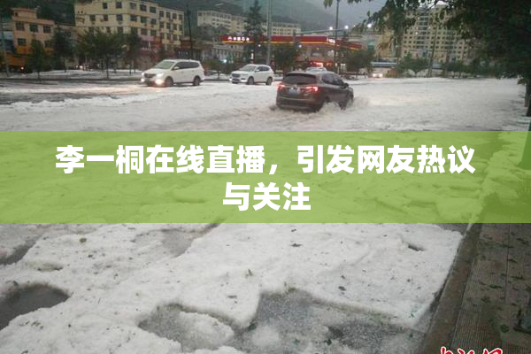 李一桐在线直播，引发网友热议与关注